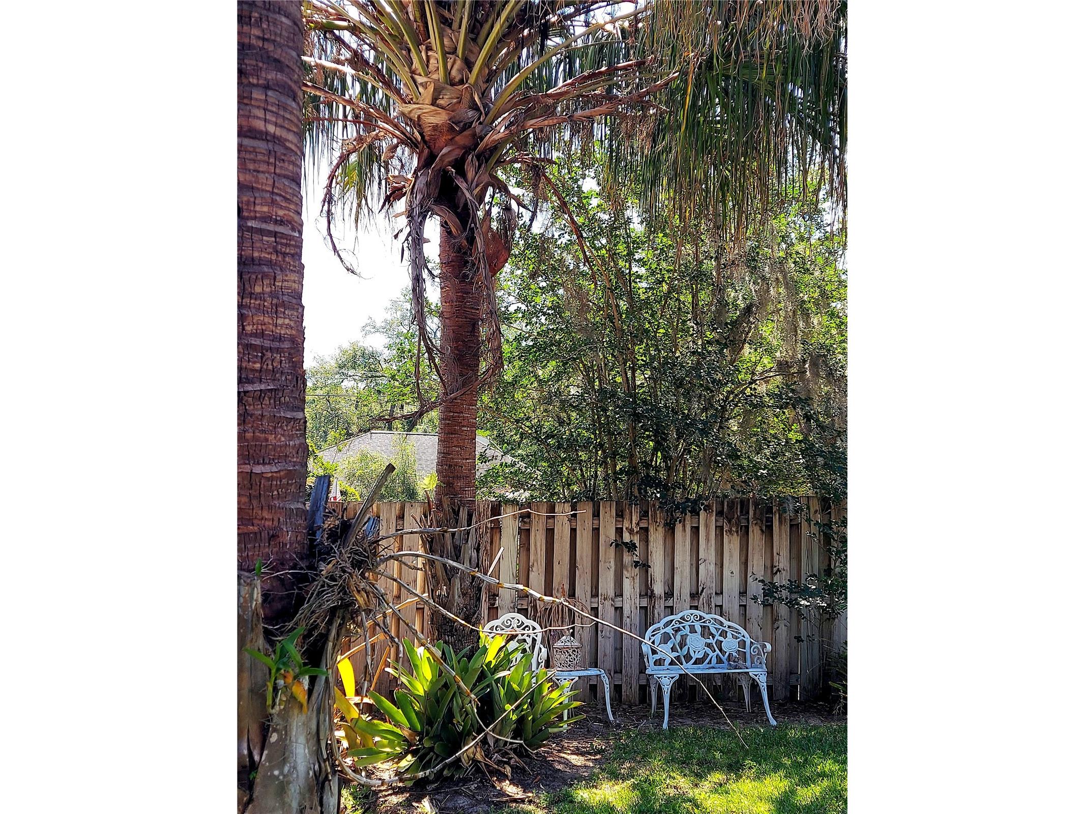 2308 Overlook Drive Mount Dora FL 32757 G5112296 image85