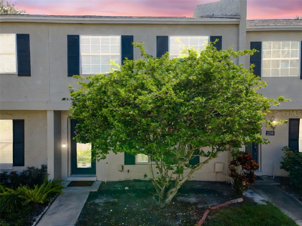 2308 S Carolina Avenue Tampa FL 33629 O6340398 image1