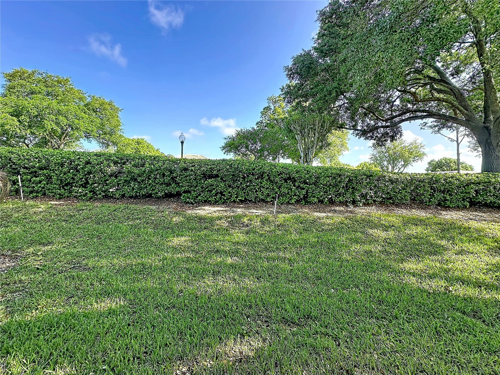 2308 Twickingham Court Clermont FL 34711 G5110559 image38