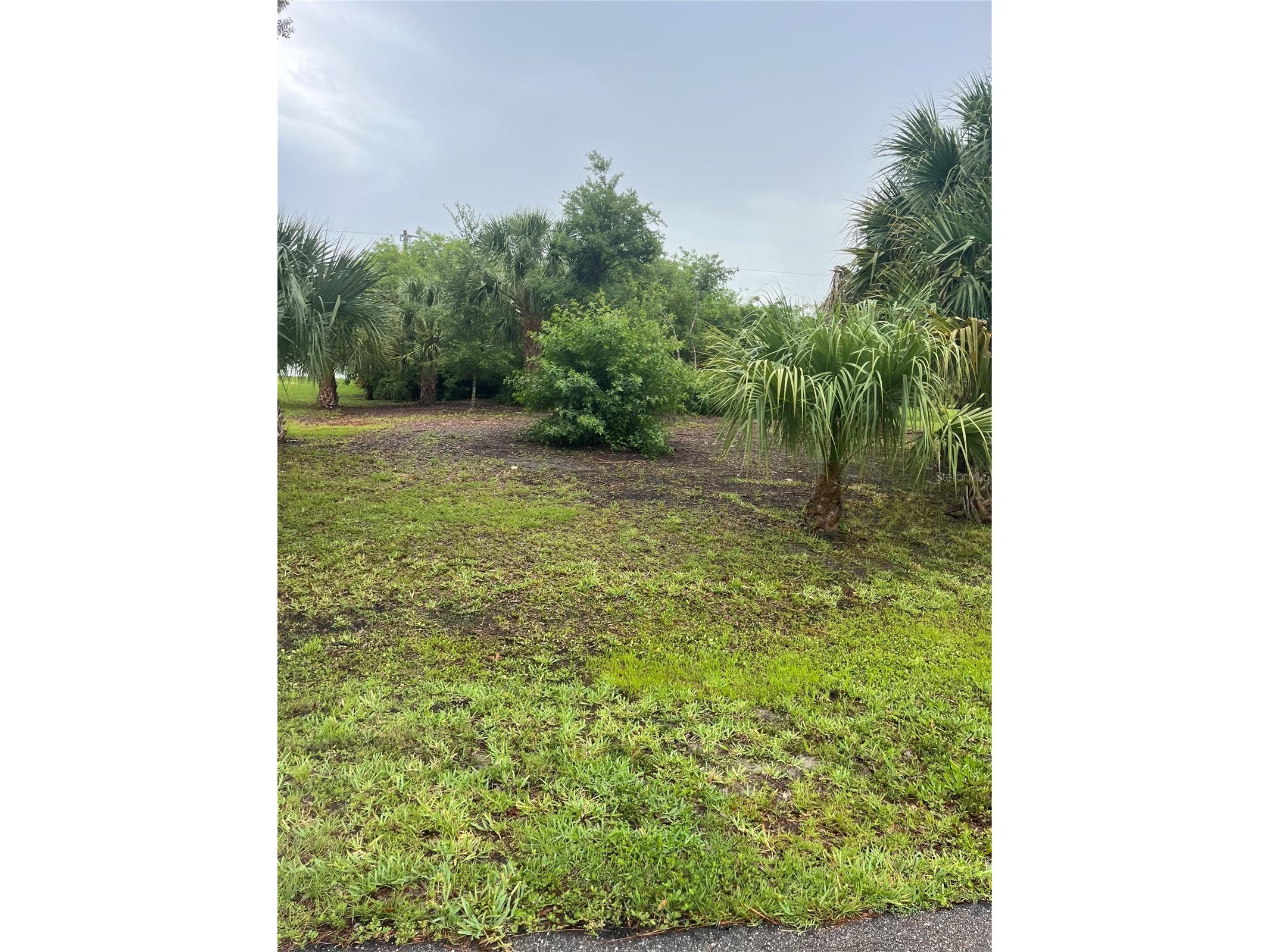 23084 August Avenue Port Charlotte FL 33954 P4938810 image1