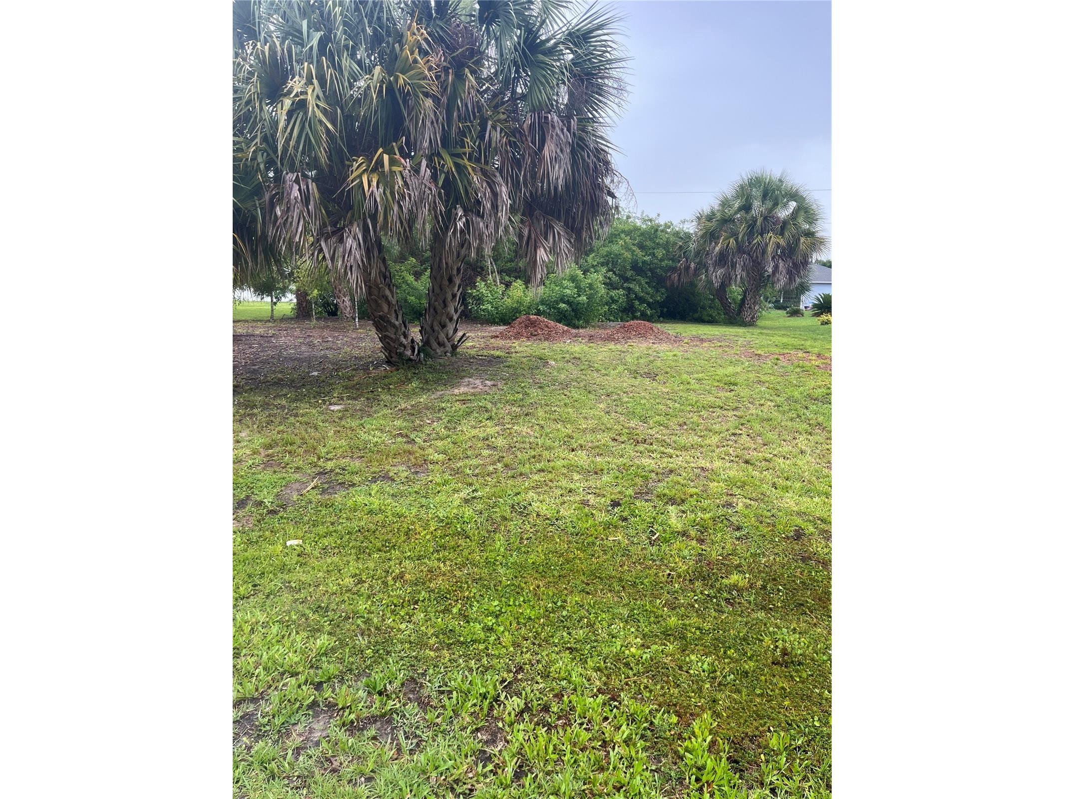 23084 August Avenue Port Charlotte FL 33954 P4938810 image3