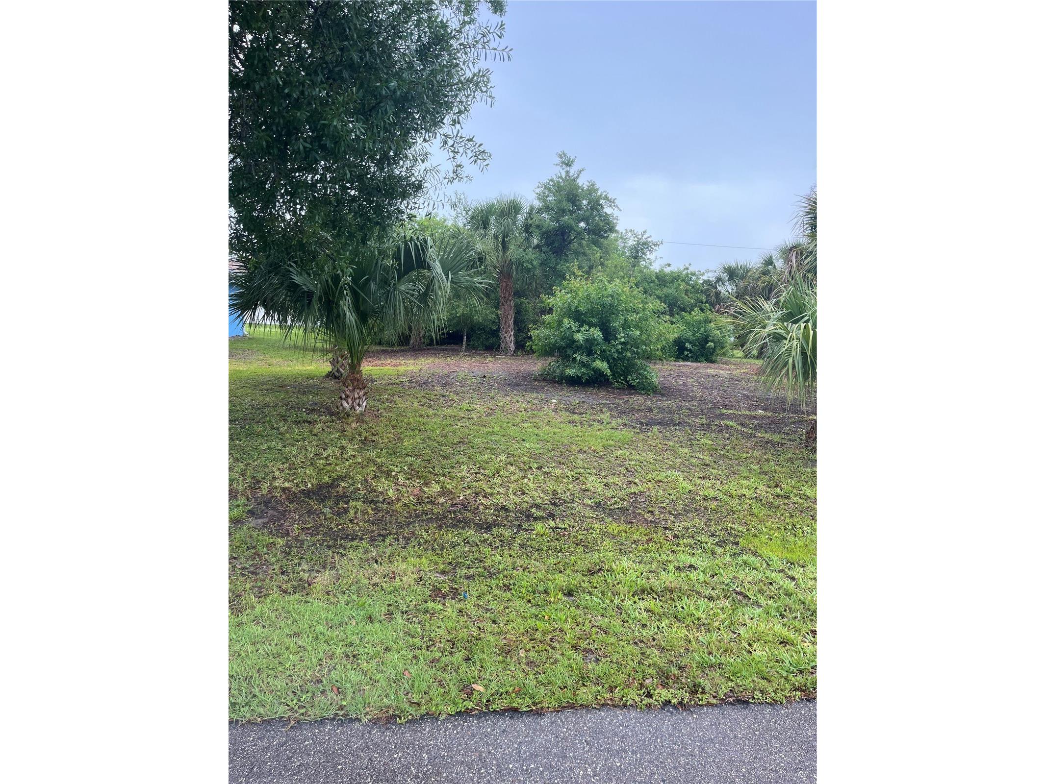 23084 August Avenue Port Charlotte FL 33954 P4938810 image4