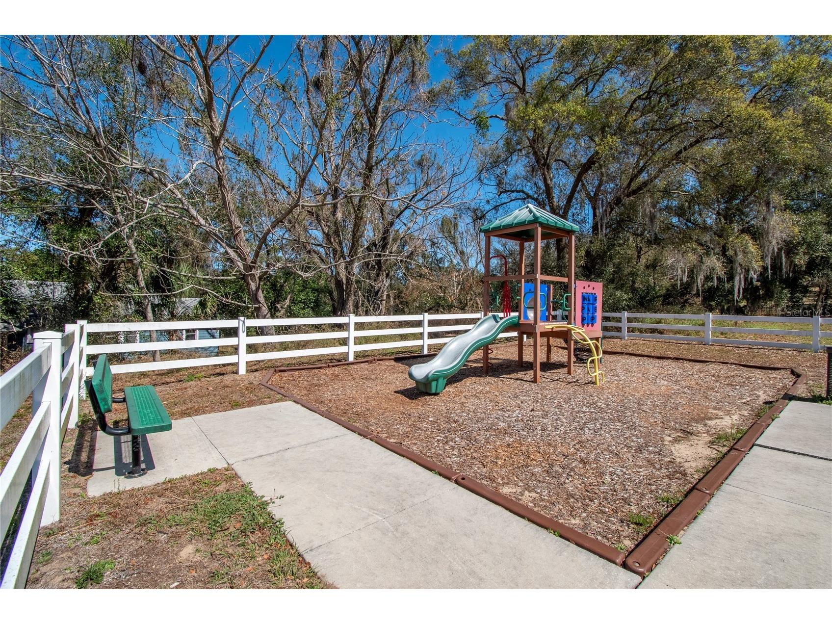 2309 Angel Fish Loop Leesburg FL 34748 OM719694 image39