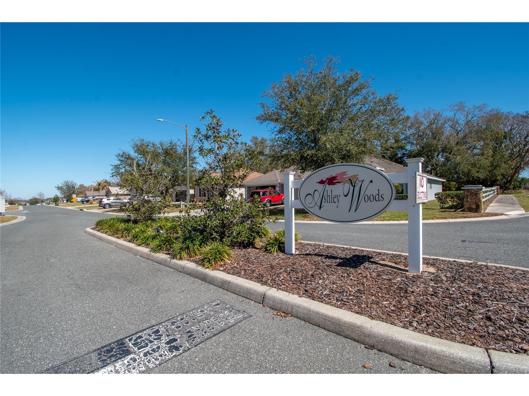 2309 Angel Fish Loop Leesburg FL 34748 OM719694 image41