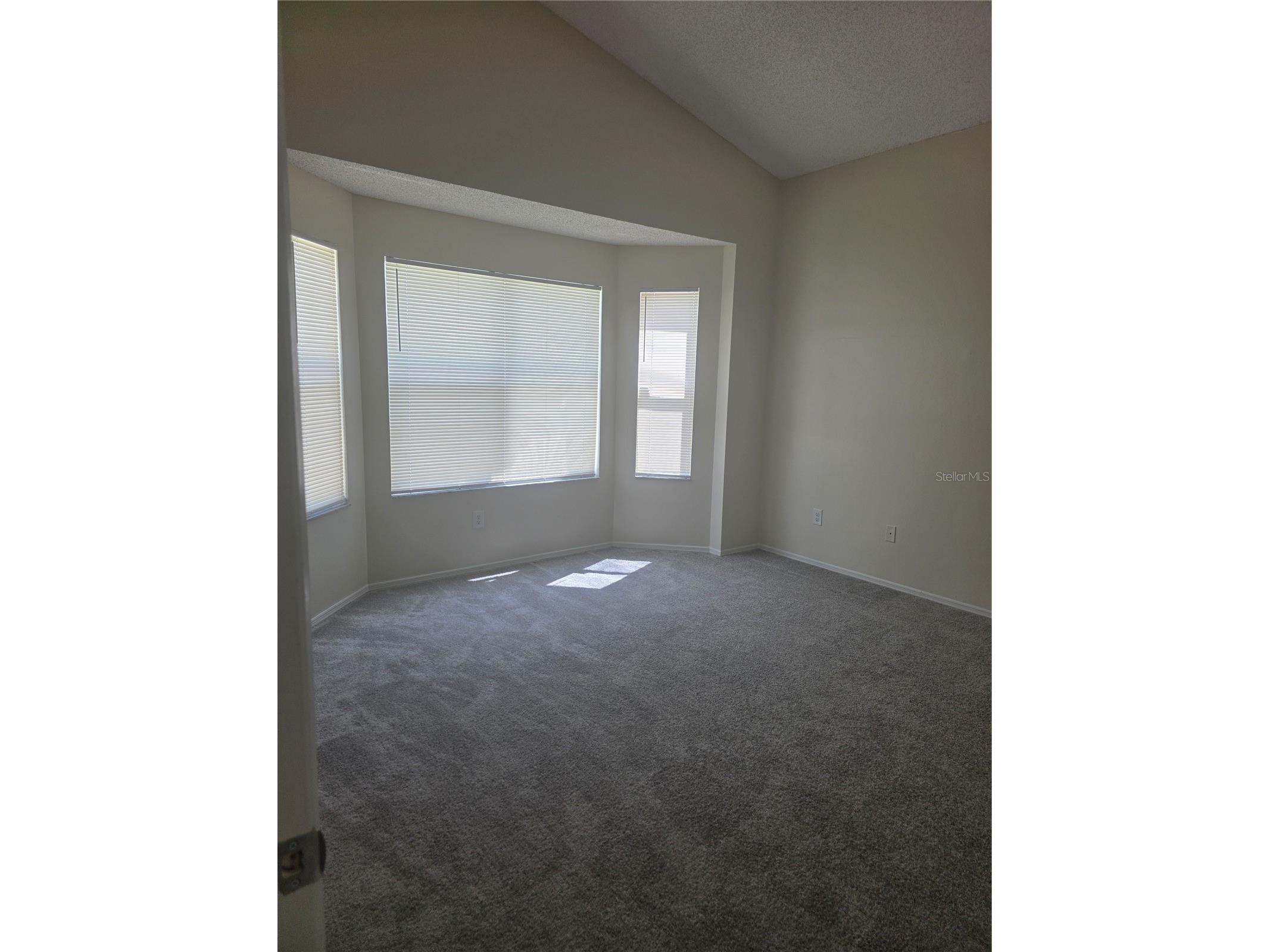 2309 Anhinga Drive Kissimmee FL 34743 S5148520 image20