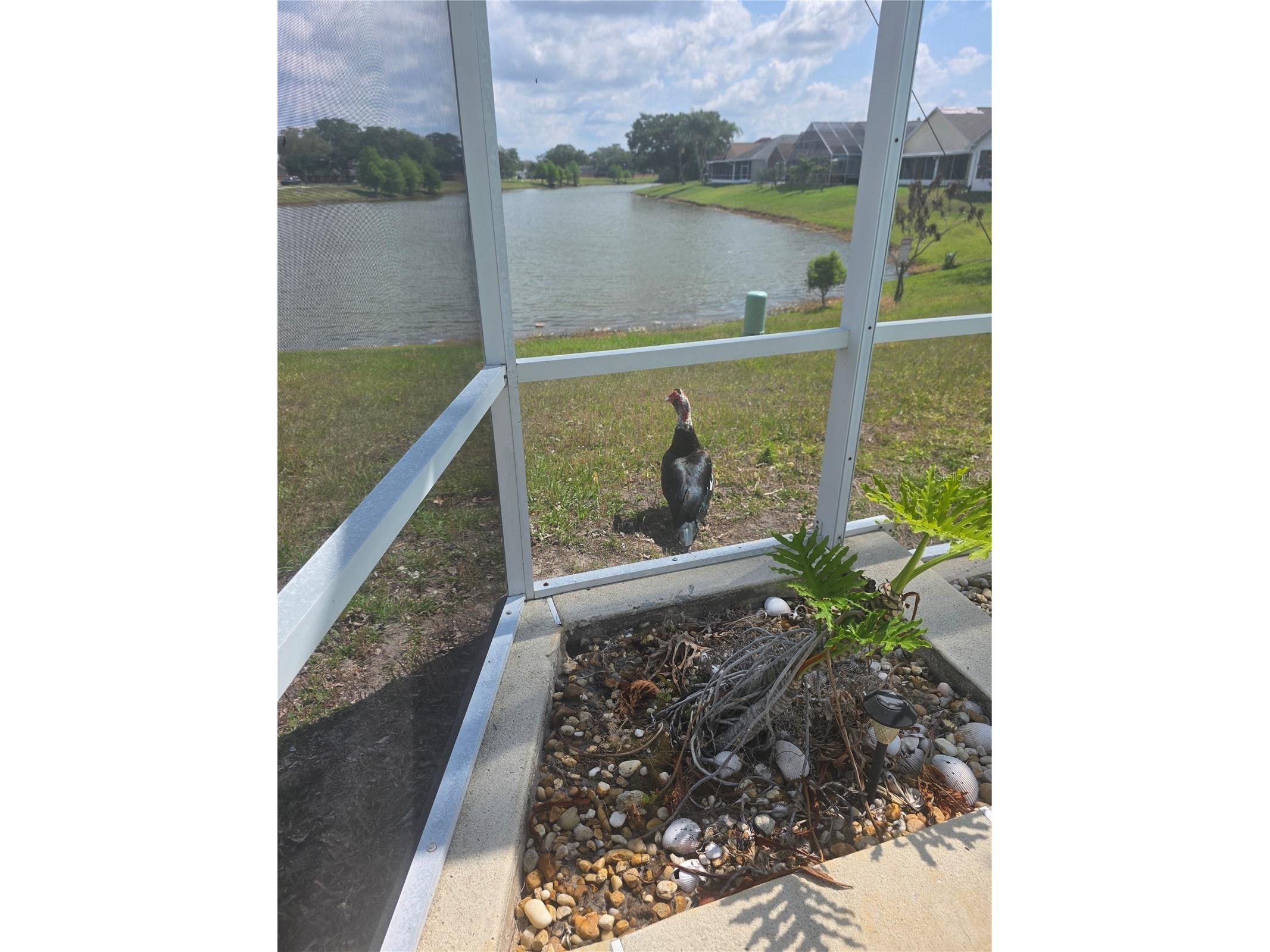 2309 Anhinga Drive Kissimmee FL 34743 S5148520 image22