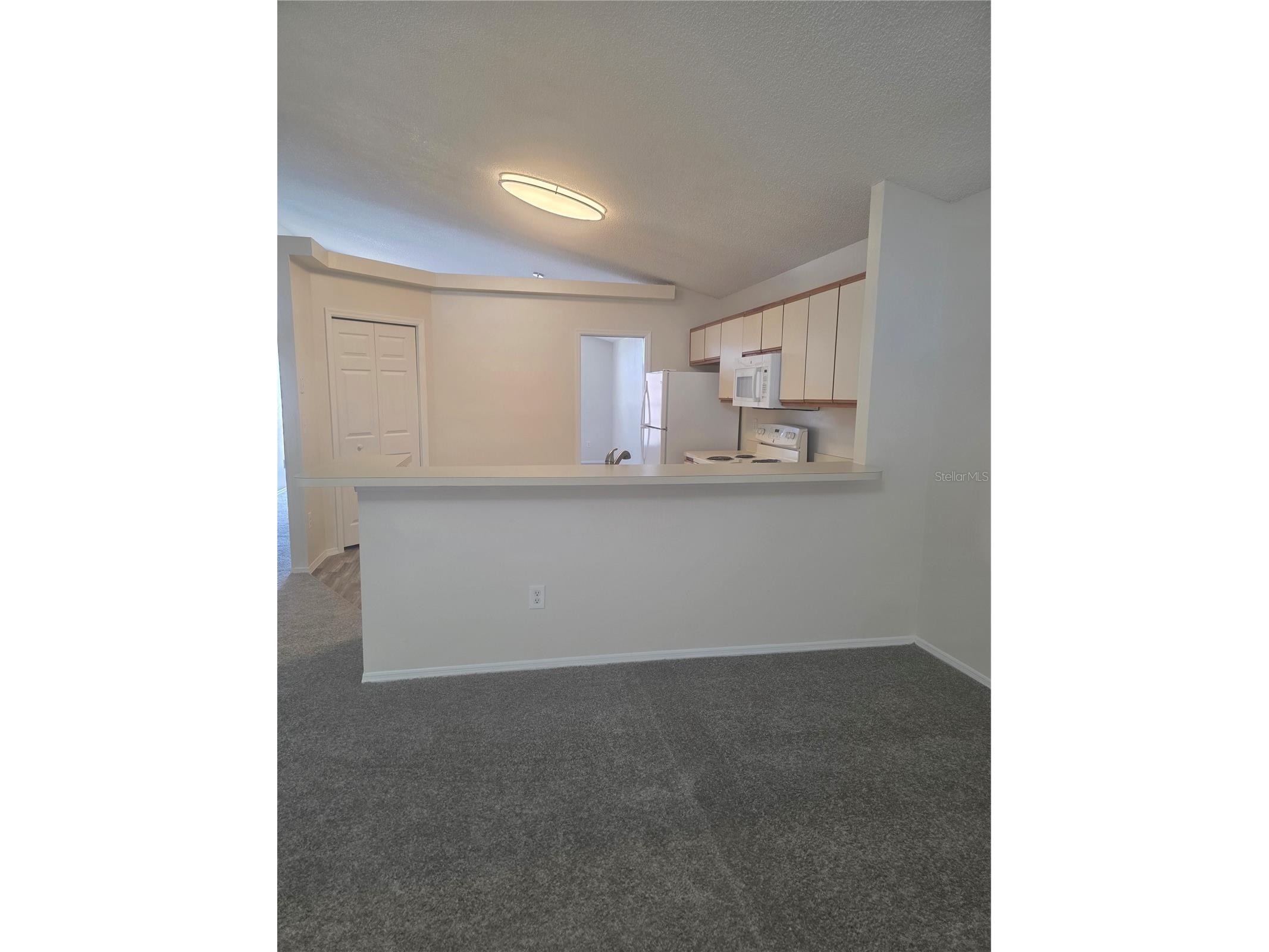 2309 Anhinga Drive Kissimmee FL 34743 S5148520 image6
