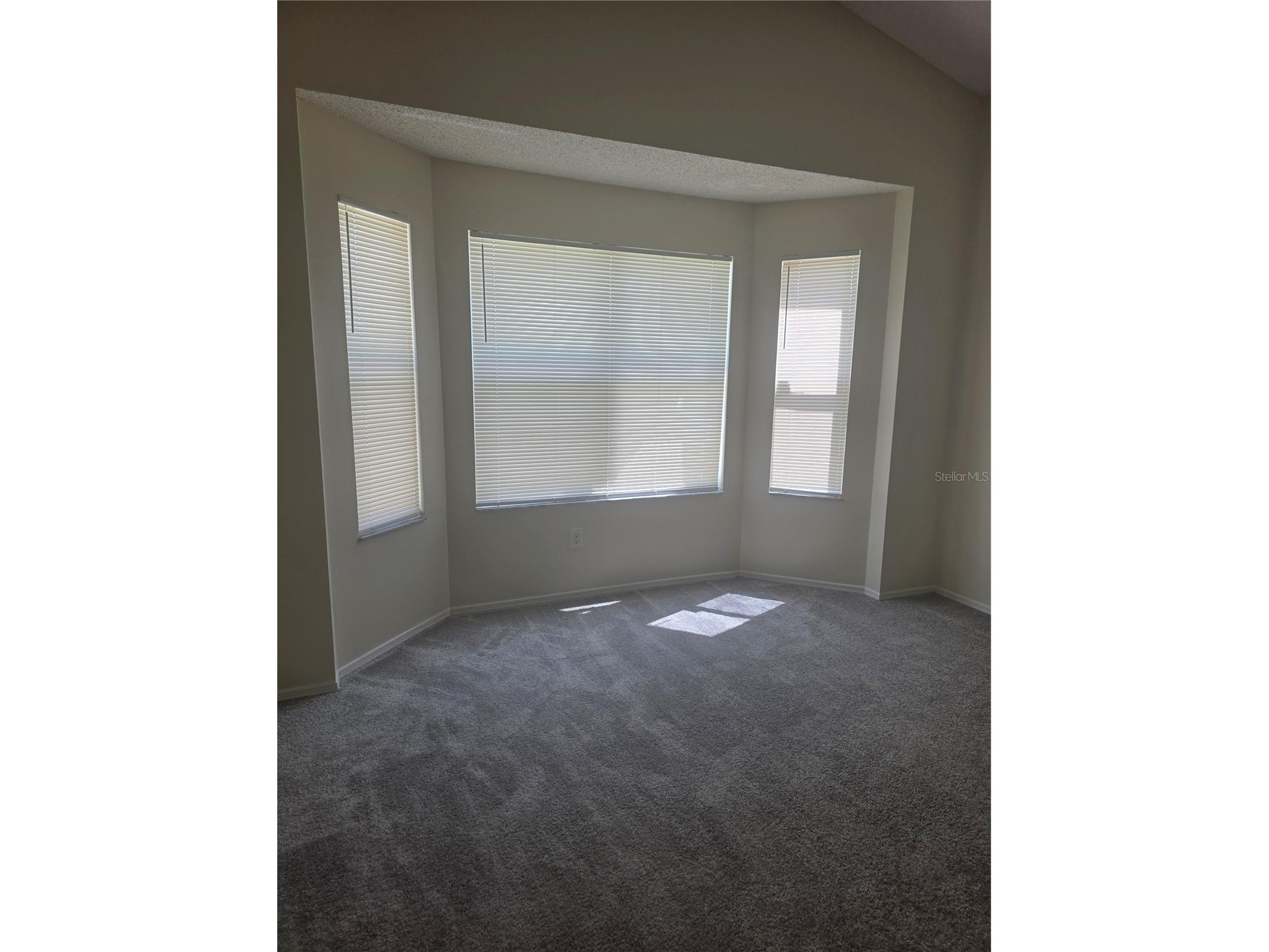 2309 Anhinga Drive Kissimmee FL 34743 S5148520 image7