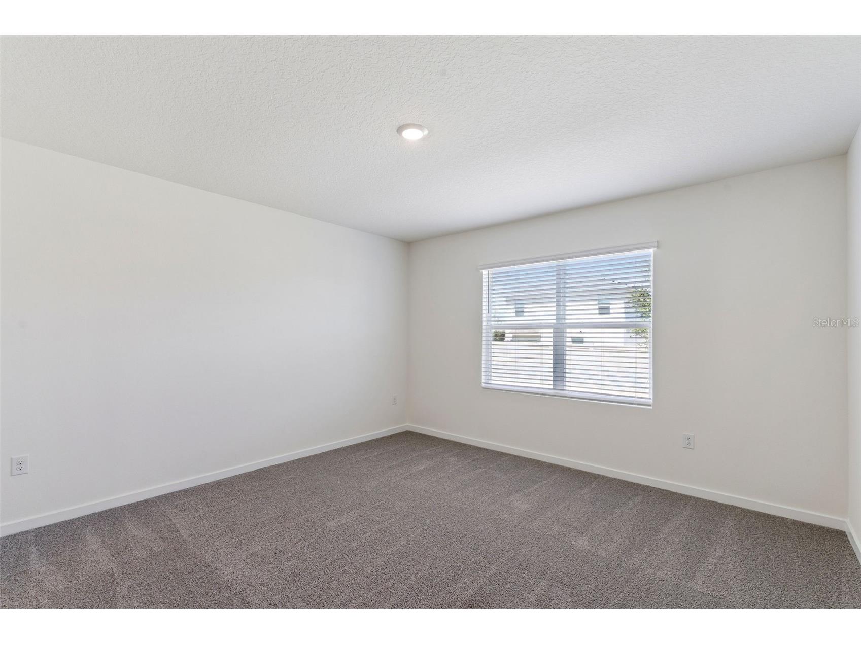 2309 Baywood Flower Way Ocoee FL 34761 O6421968 image24