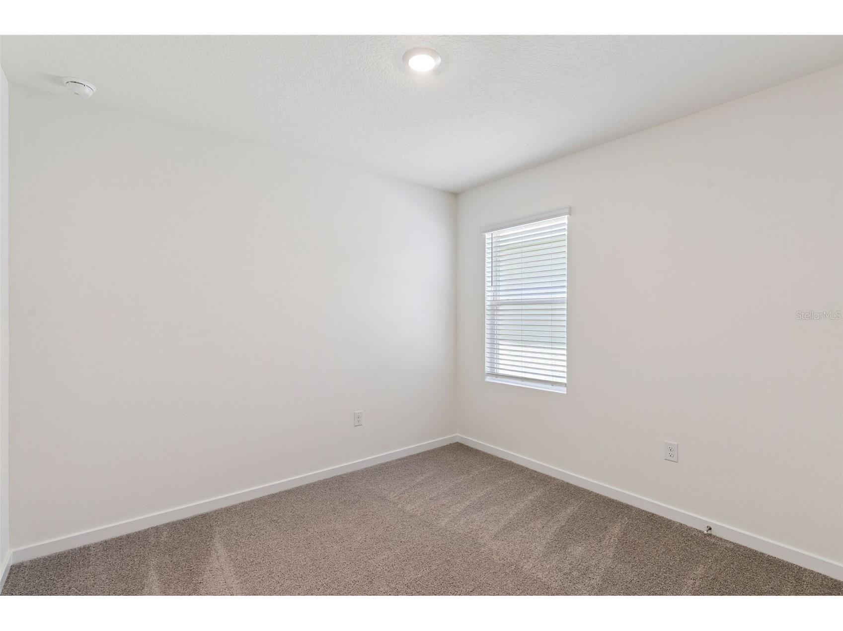 2309 Baywood Flower Way Ocoee FL 34761 O6421968 image25