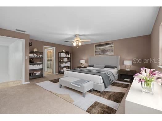 2309 Cypress Walk Way Ruskin FL 33570 - LITTLE MANATEE RIVER TB8514525 image28