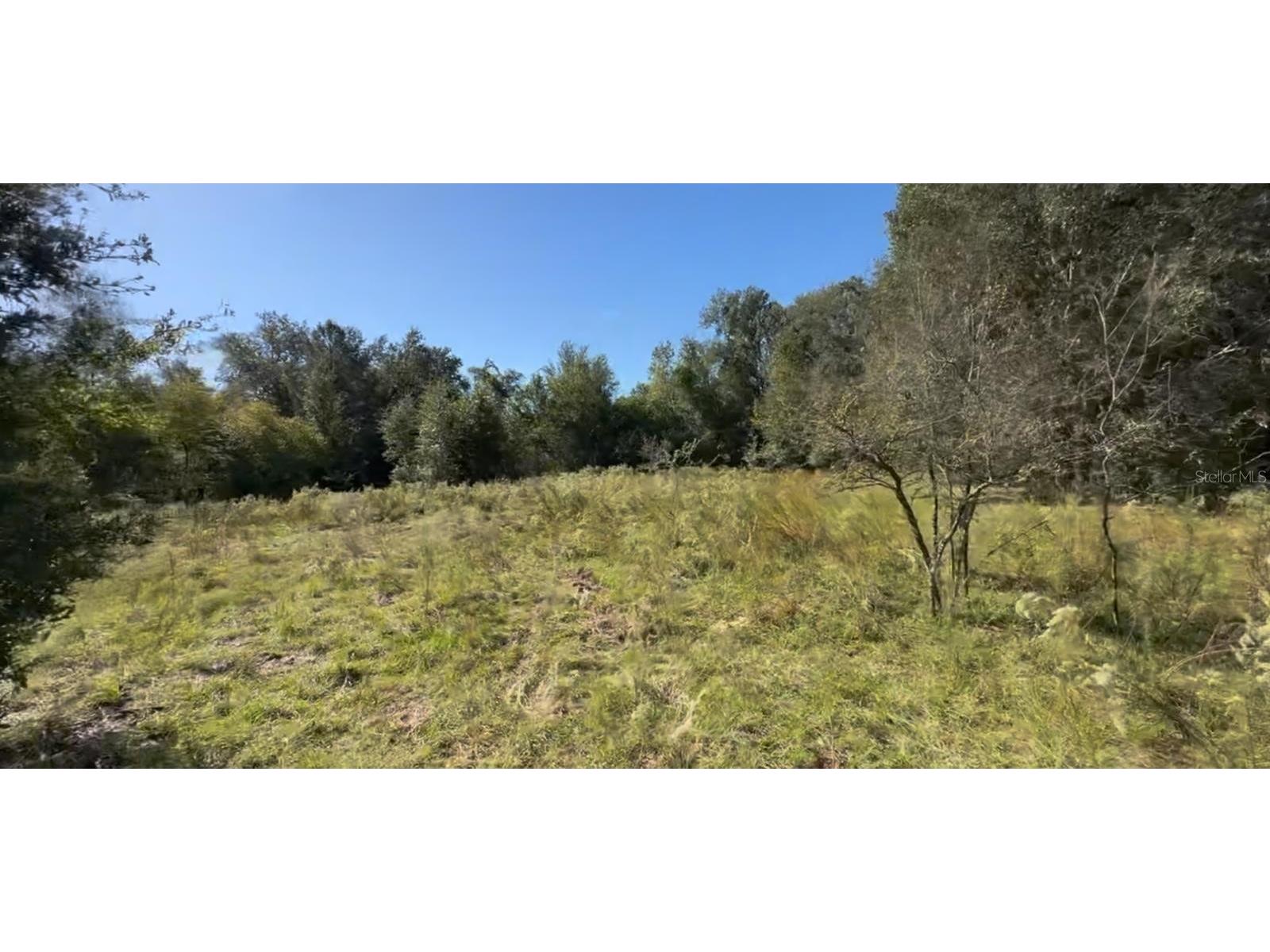 2309 Garfield Street Inverness FL 34453 TB8442114 image1