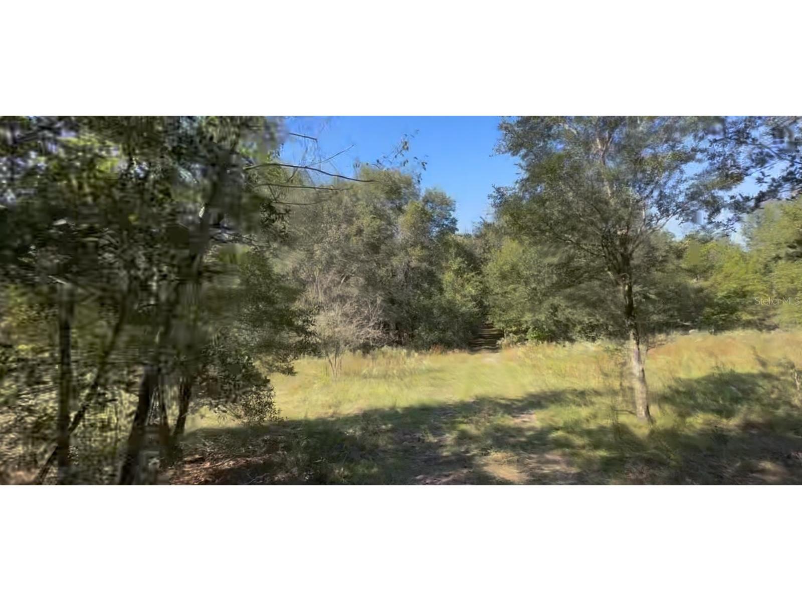 2309 Garfield Street Inverness FL 34453 TB8442114 image16