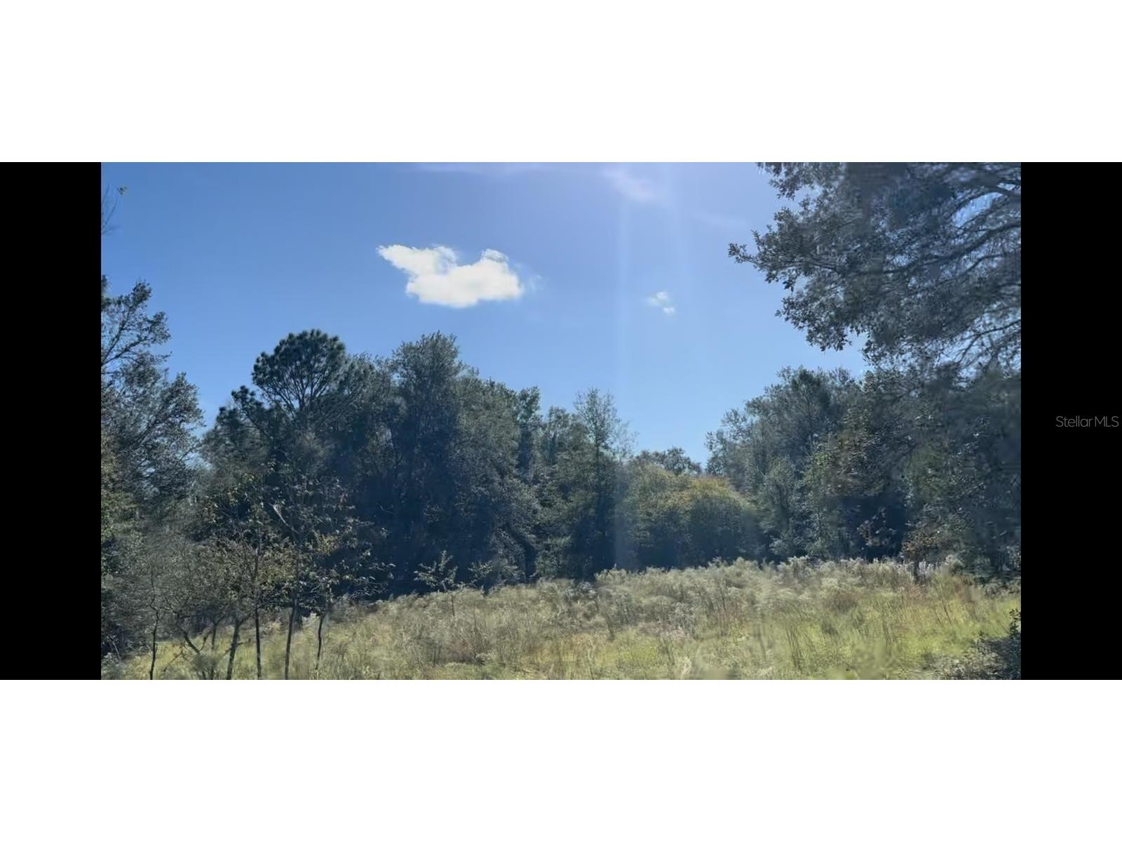 2309 Garfield Street Inverness FL 34453 TB8442114 image6