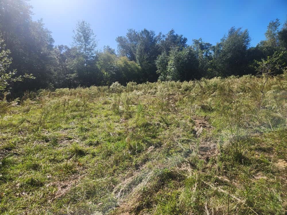 2309 Garfield Street Inverness FL 34453 TB8442114 image9