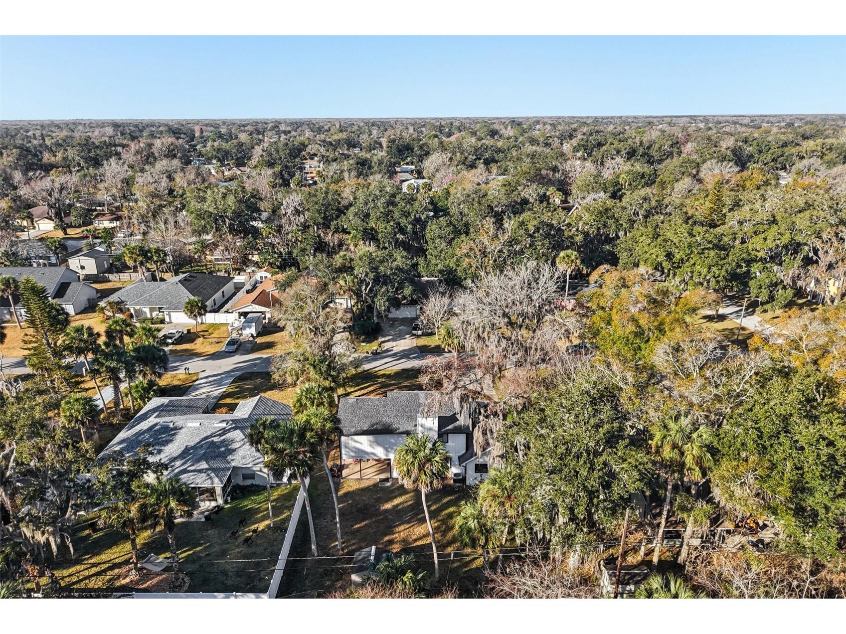 2309 Kumquat Drive Edgewater FL 32141 O6378662 image44