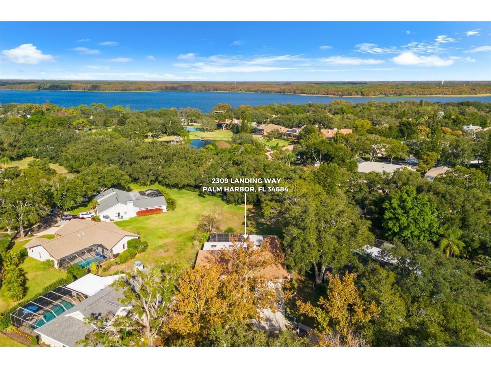 2309 Landing Way Palm Harbor FL 34684 - LAKE TARPON TB8452676 image3