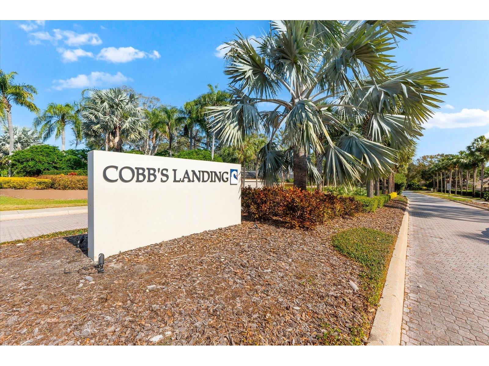 2309 Landing Way Palm Harbor FL 34684 - LAKE TARPON TB8452676 image52