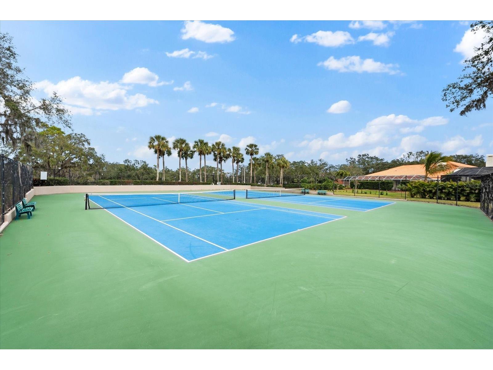 2309 Landing Way Palm Harbor FL 34684 - LAKE TARPON TB8452676 image56