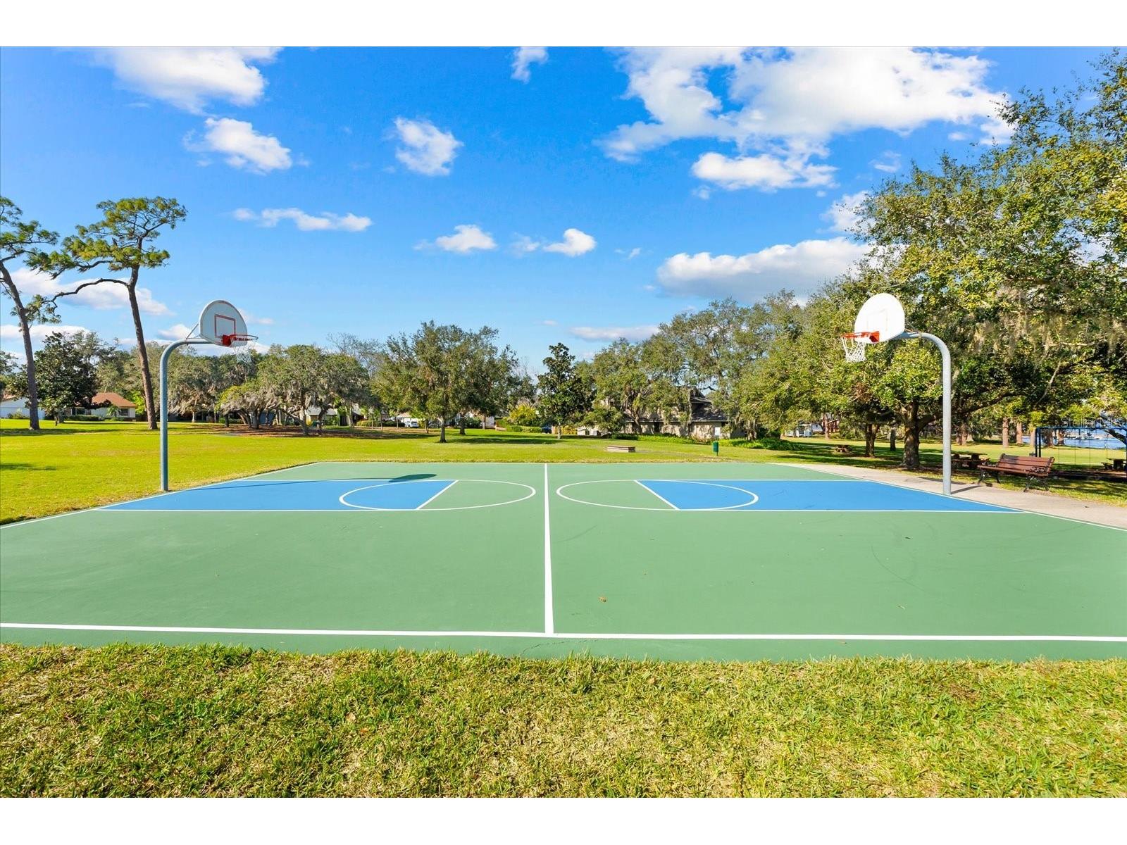 2309 Landing Way Palm Harbor FL 34684 - LAKE TARPON TB8452676 image57