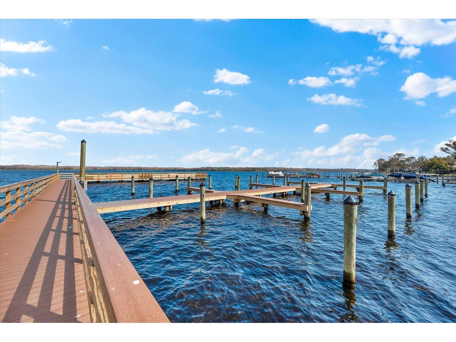 2309 Landing Way Palm Harbor FL 34684 - LAKE TARPON TB8452676 image59