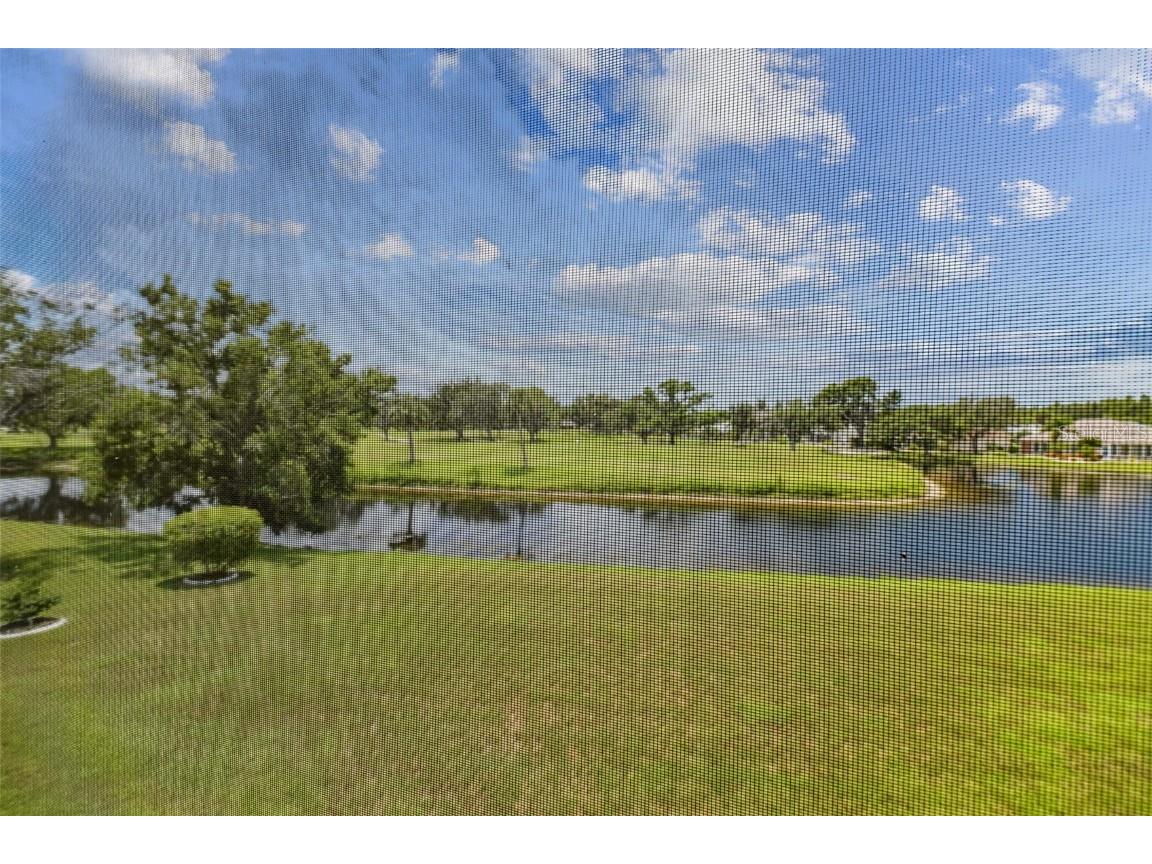 2309 Lyndhurst Drive Sun City Center FL 33573 TB8431302 image4