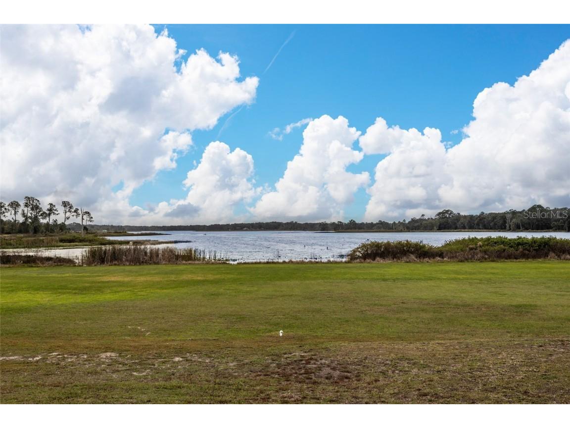 2309 Mcbride Road Seville FL 32190 FC312818 image35