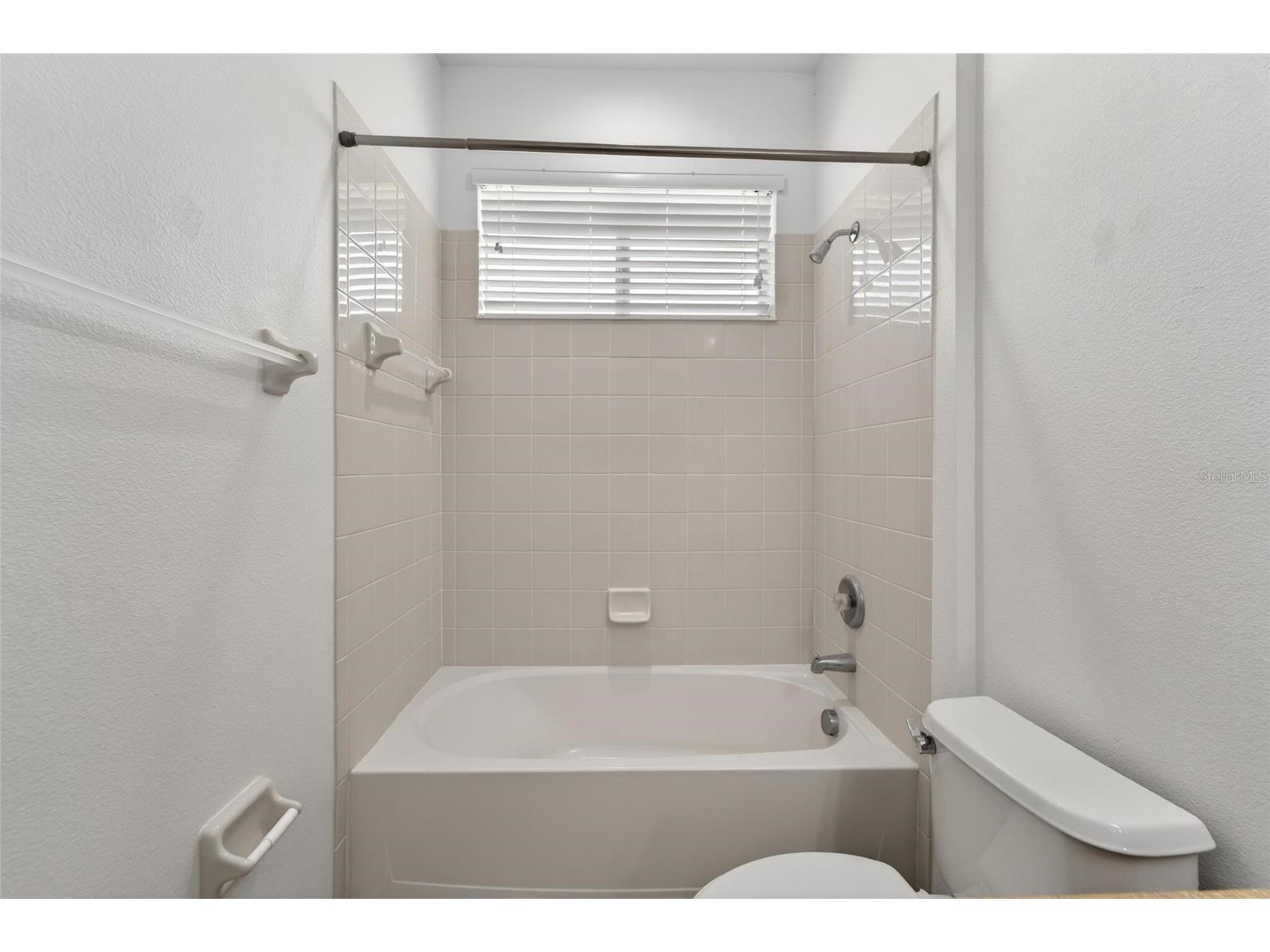 2309 Silver Trumpet Court Valrico FL 33594 TB8501082 image28