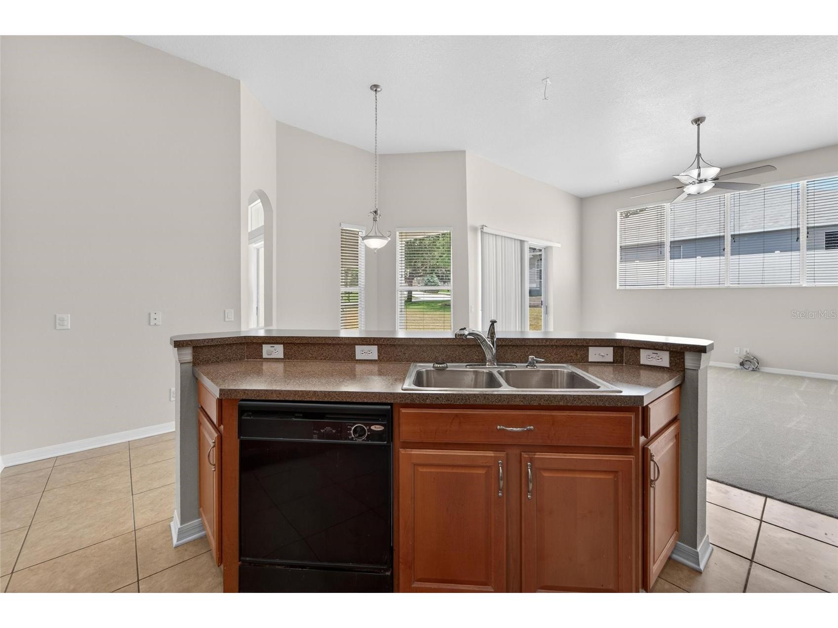 2309 Silver Trumpet Court Valrico FL 33594 TB8501082 image38