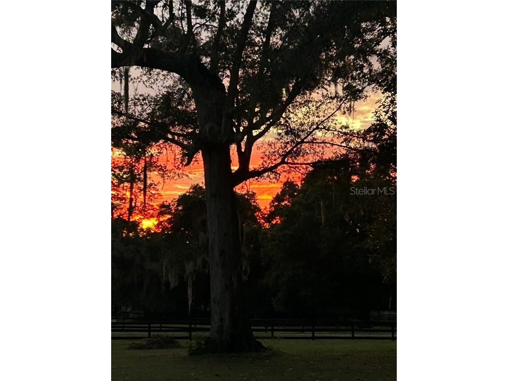 2309 SW 66th Street Ocala FL 34476 OM711135 image32