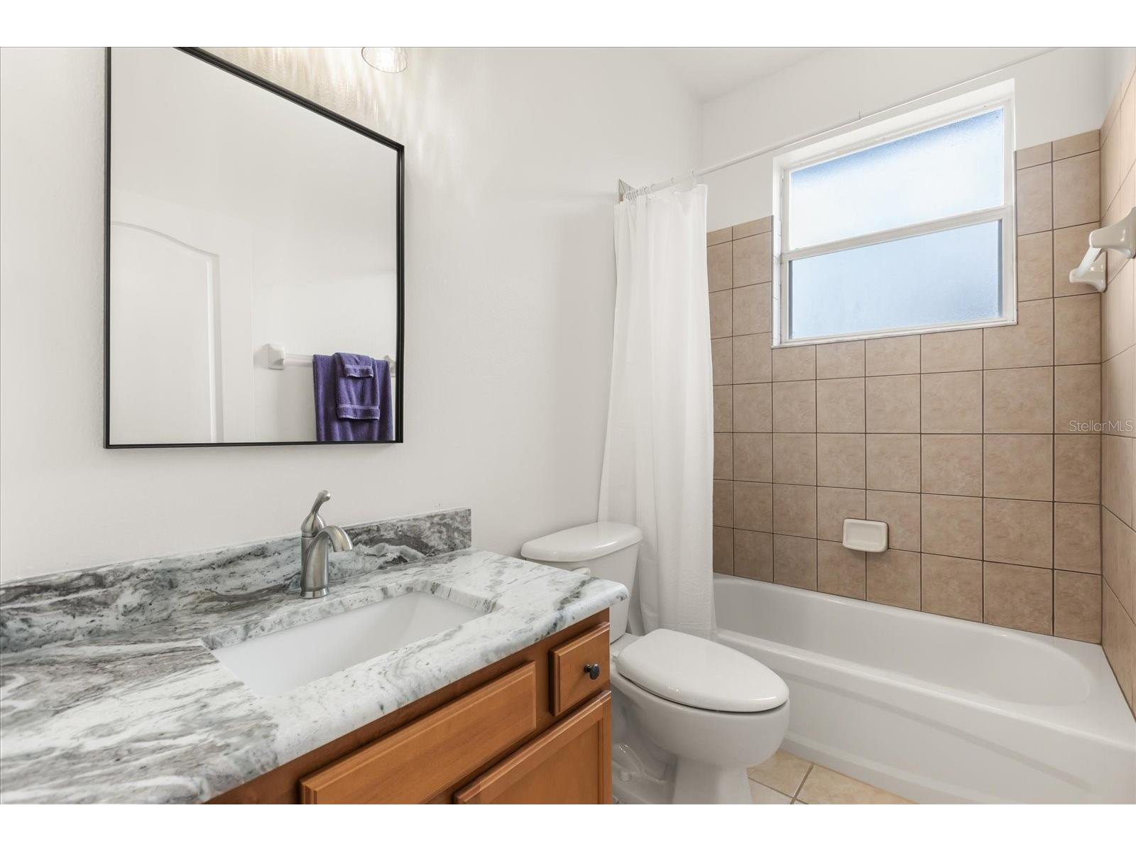 2309 Wolf Ridge Lane Mount Dora FL 32757 G5108876 image15