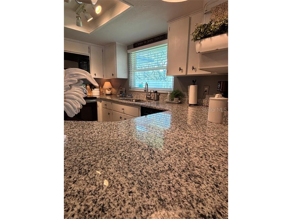 2309 Woodbend Circle New Port Richey FL 34655 TB8402830 image41