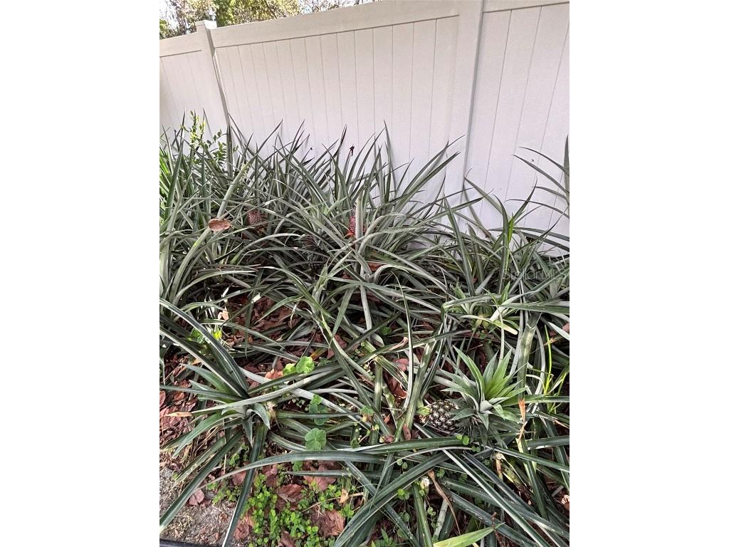 2309 Woodbend Circle New Port Richey FL 34655 TB8402830 image68