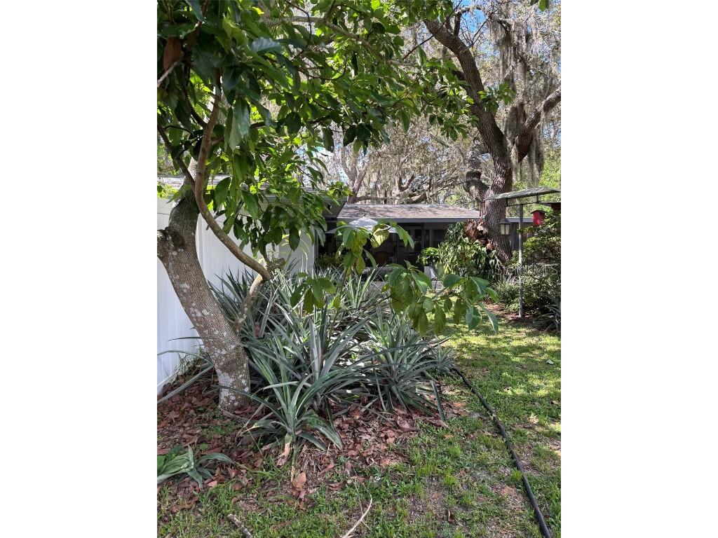 2309 Woodbend Circle New Port Richey FL 34655 TB8402830 image70