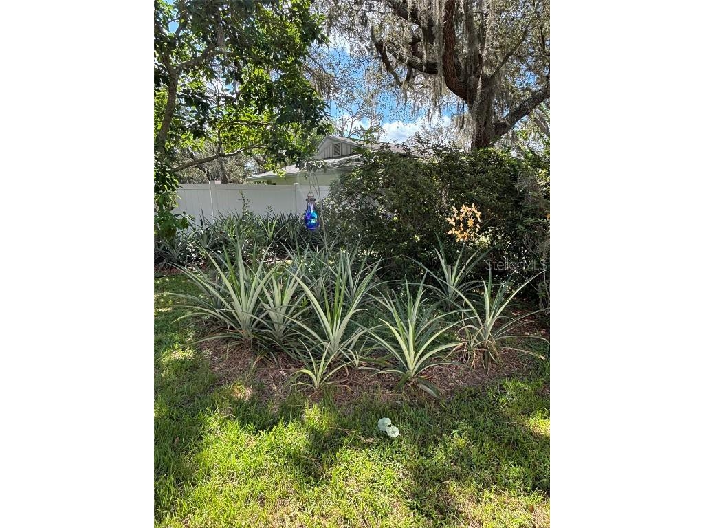 2309 Woodbend Circle New Port Richey FL 34655 TB8402830 image74