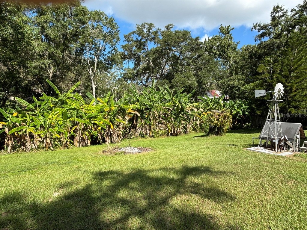 2309 Woodbend Circle New Port Richey FL 34655 TB8402830 image81