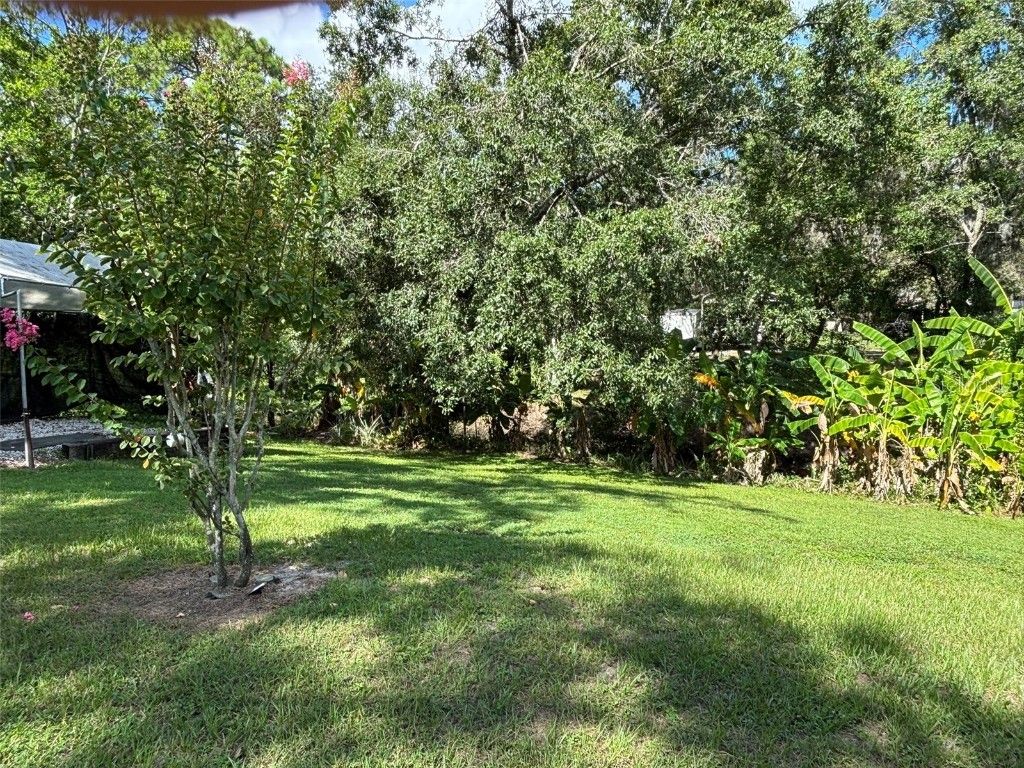 2309 Woodbend Circle New Port Richey FL 34655 TB8402830 image82