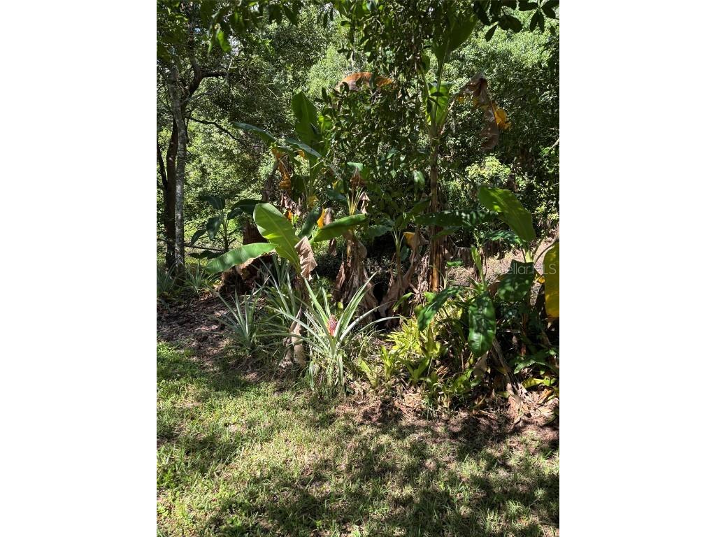 2309 Woodbend Circle New Port Richey FL 34655 TB8402830 image83