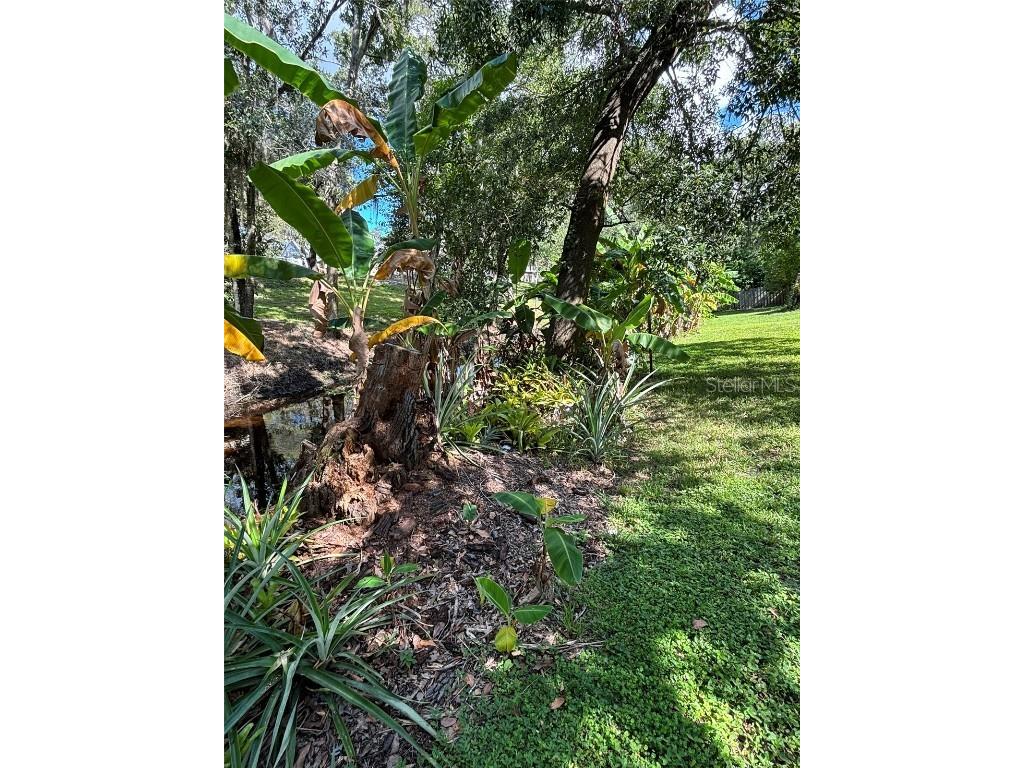 2309 Woodbend Circle New Port Richey FL 34655 TB8402830 image85