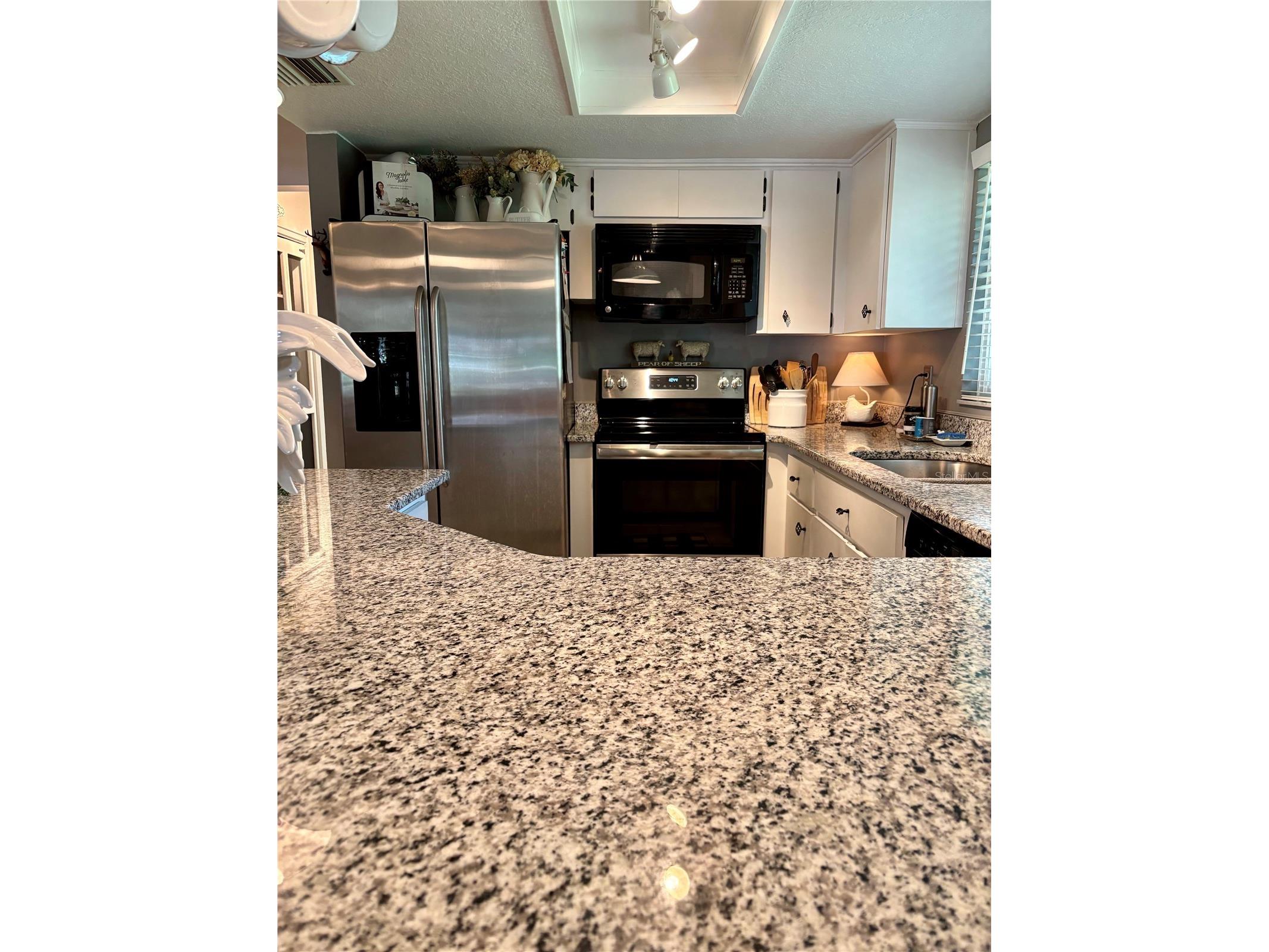 2309 Woodbend Circle New Port Richey FL 34655 TB8487966 image19