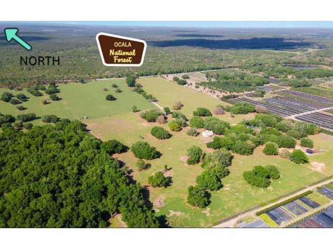 23096 SE Hwy 42 Umatilla FL 32784 O6329430 image1