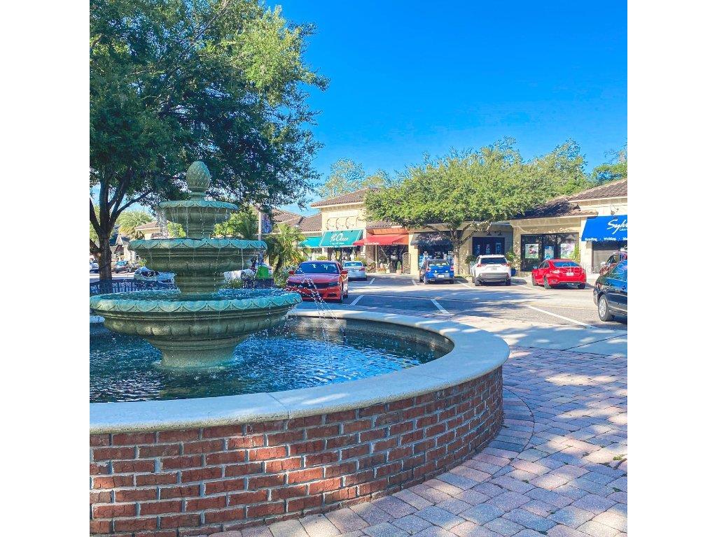 231 Abbott Avenue Lake Mary FL 32746 O6366251 image42