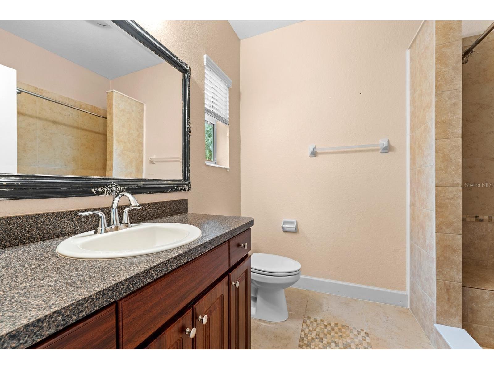 231 Alexander Woods Drive Plant City FL 33563 TB8532183 image22