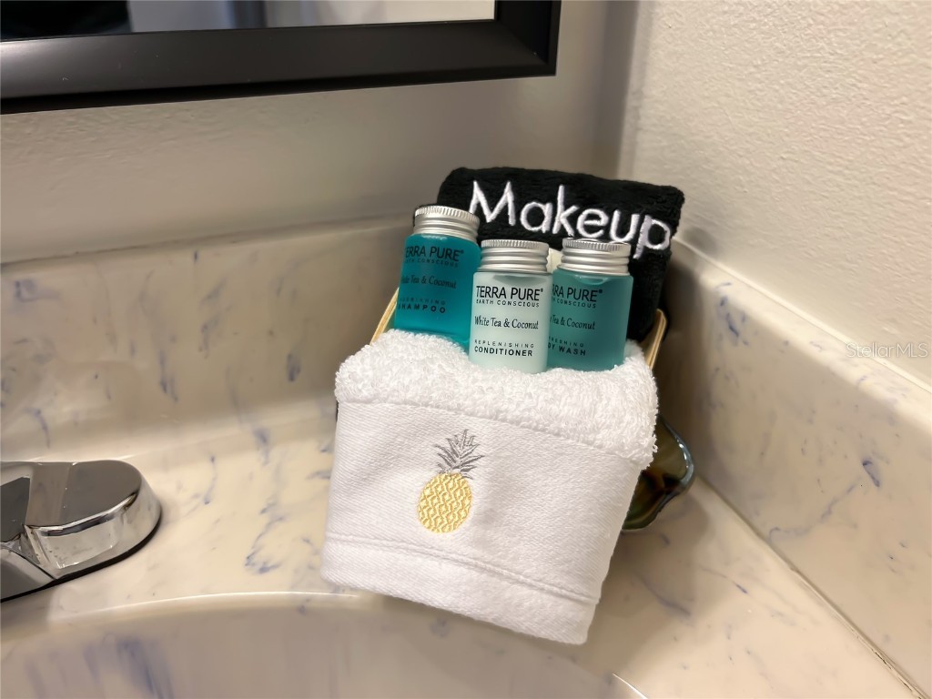 231 Caddy Road Rotonda West FL 33947 C7503068 image6