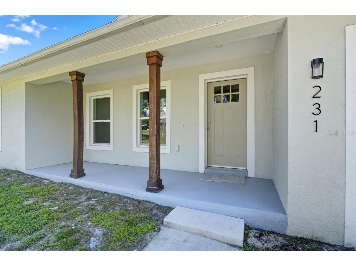 231 Chestnut Avenue Orange City FL 32763 V4945050 image3
