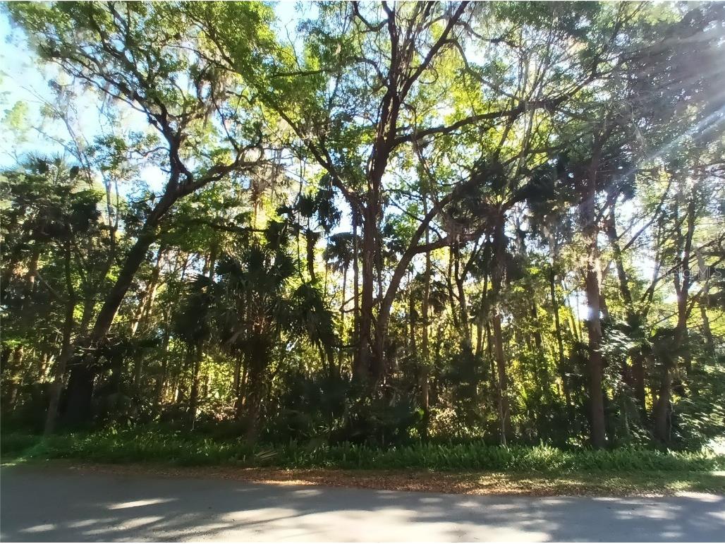 231 Fraser Road Debary FL 32713 V4935144 image1