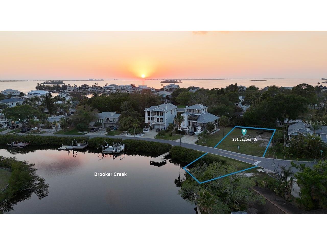 231 Lagoon Drive Palm Harbor FL 34683 - BROOKER CREEK TB8490521 image1