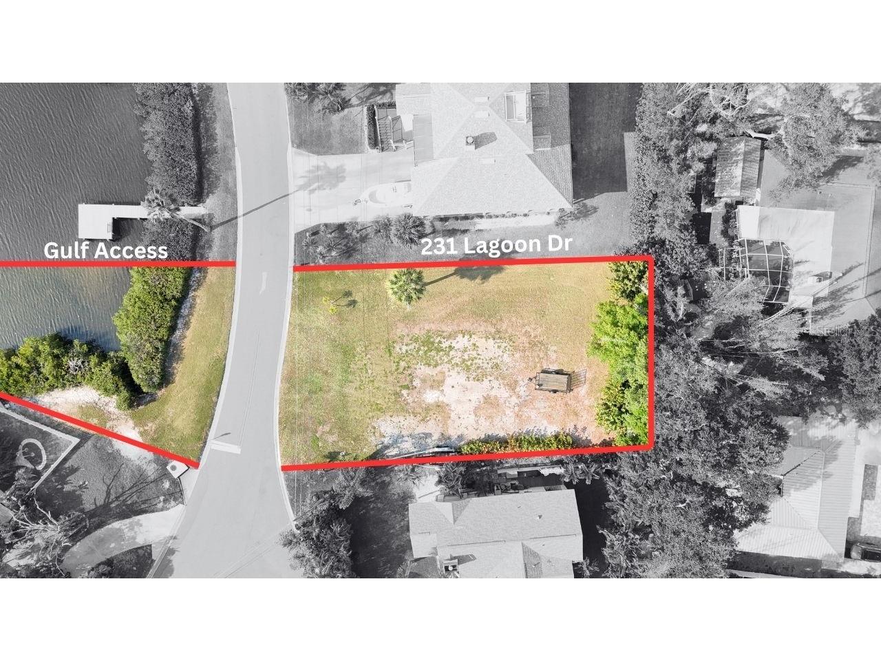 231 Lagoon Drive Palm Harbor FL 34683 - BROOKER CREEK TB8490521 image4