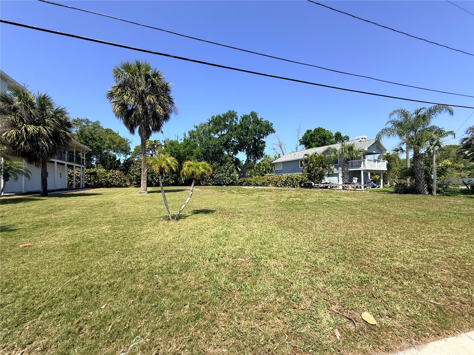 231 Lagoon Drive Palm Harbor FL 34683 - BROOKER CREEK TB8490521 image9