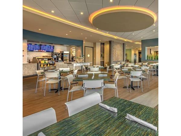 231 Lasso Drive Kissimmee FL 34747 O6373938 image44